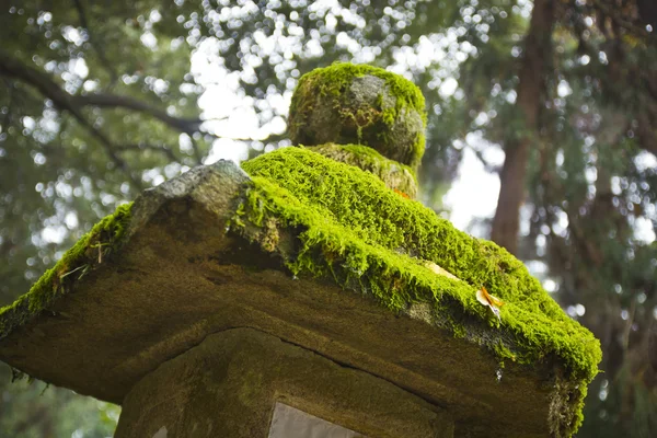 Moss in a stone pagoda — Stock Photo, Image