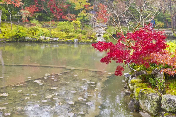 Nara herfst Japans park — Stockfoto