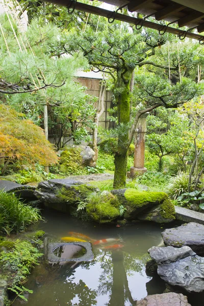 Jardín zen japonés — Foto de Stock