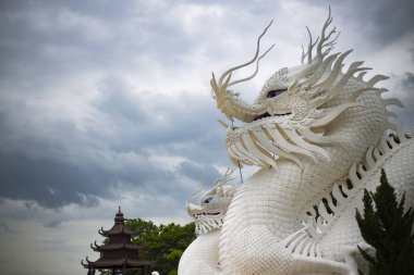 Tayland, Chiang Rai 'deki Wat Rong Khun tapınağında Beyaz Asya Ejderhası heykeli.