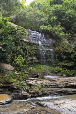 Tayland 'daki Chiang Rai Ulusal Parkı' nda yeşil bir ormanda güzel bir şelale.