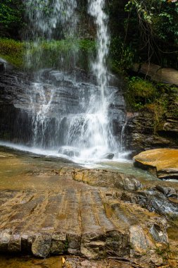 Tayland 'daki Chiang Rai Ulusal Parkı' nda yeşil bir ormanda güzel bir şelale.