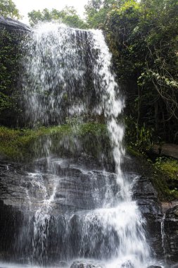 Tayland 'daki Chiang Rai Ulusal Parkı' nda yeşil bir ormanda güzel bir şelale.