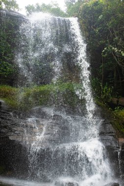 Tayland 'daki Chiang Rai Ulusal Parkı' nda yeşil bir ormanda güzel bir şelale.