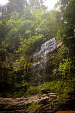 Tayland 'daki Chiang Rai Ulusal Parkı' nda yeşil bir ormanda güzel bir şelale.
