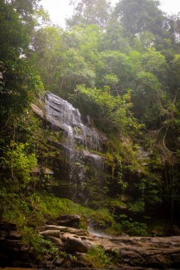 Tayland 'daki Chiang Rai Ulusal Parkı' nda yeşil bir ormanda güzel bir şelale.
