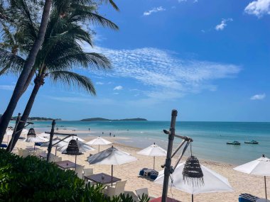 Beyaz yaz şemsiyeleri Koh Samui, Tayland 'da beyaz kumlu tropikal cennet sahillerinde.