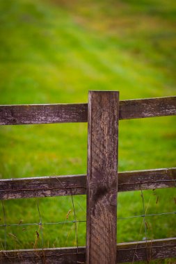 İngiltere 'nin Cotswolds kentindeki kırsal alanda yeşil bir çitin tahta çiti.
