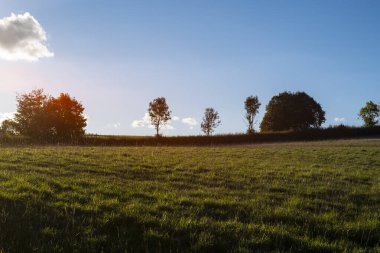 İngiltere Cotswolds 'da parlayan güneşli yeşil çayır manzarası