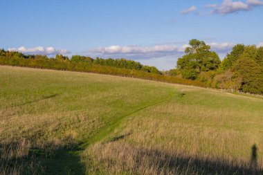 Güneş gün batımında parlıyor. Yeşil tarlalarda ve Cotswolds İngiltere 'deki çayırlarda güzel manzara.