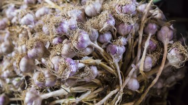 Arka plan çok çiğ sarımsak