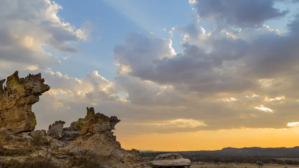 Isalo arbusto desierto atardecer paisaje en Madagascar —  Fotos de Stock