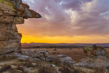 Bush çöl yatay, Madagaskar, Afrika kaya.