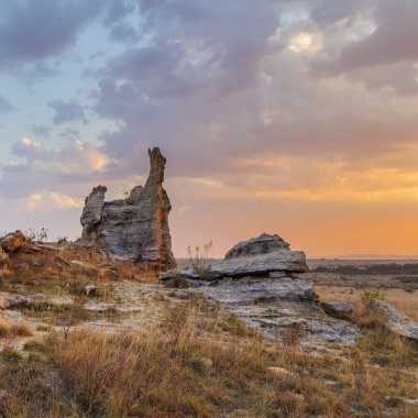 Bush çöl yatay, Madagaskar, Afrika kaya.