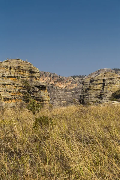 Arbustos amarillos en el paisaje del Parque Nacional de Isalo, Madagascar —  Fotos de Stock