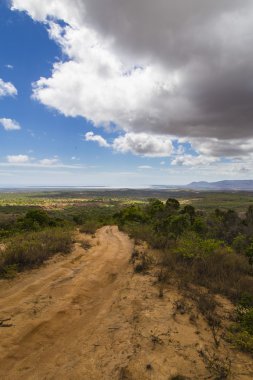 Madagaskar Afrika bir peyzaj kum yolda