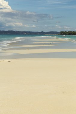 Turkuaz su plaj tropikal peyzaj