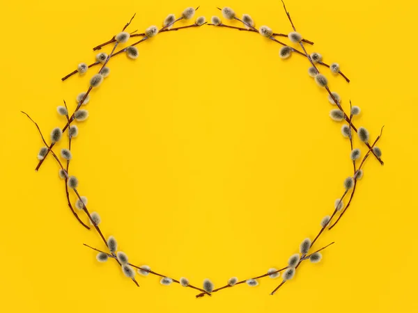 Easter wreath, round frame with a pussy willow branch with buds on a yellow background. The concept of spring holiday and symbol of Palm Sunday in April. Flat lay, top view, copy space for text.