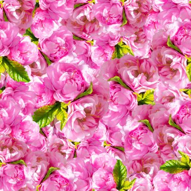 Kusursuz çiçek desenleri, bahar narin mor badem çiçekleri, kirazlar, güller, şakayıklar ve yapraklar. Düğün için tasarım, tekstil baskısı, peçeteler. Güzel doku.