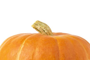 Beyaz arka planda taze olgun bir portakal kabağı. Sonbahar hasat mevsimi. Bir sebzenin tepesinin kısmi kırpılmış görüntüsü, yakın plan saplı..