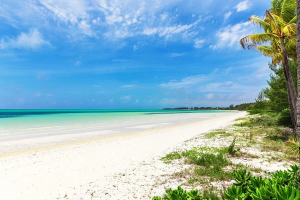 Hermosa playa en Bahamas, océano caribeño e islas idílicas en un día soleado — Foto de Stock