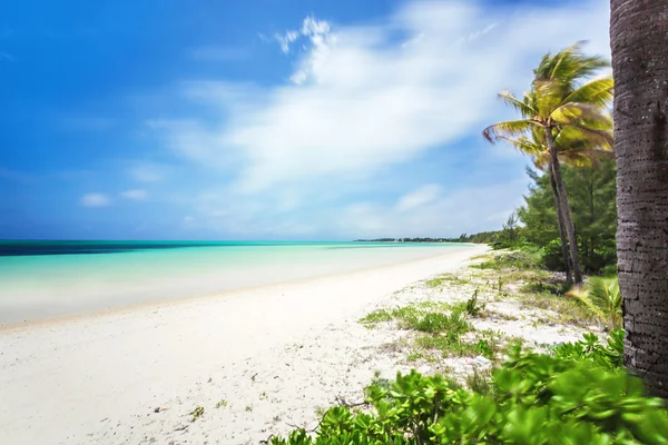 Bella spiaggia alle Bahamas, oceano caraibico e isole idilliache in una giornata di sole — Foto Stock