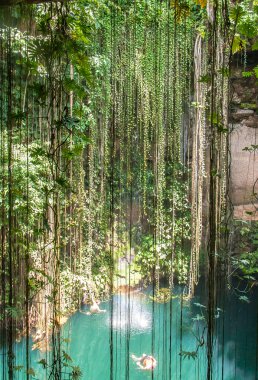 Cenote in Mexico clipart