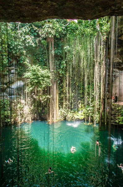 Cenote in Mexico — Stock Photo, Image