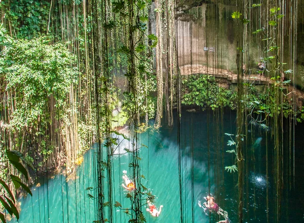 Cenote w Meksyku — Zdjęcie stockowe