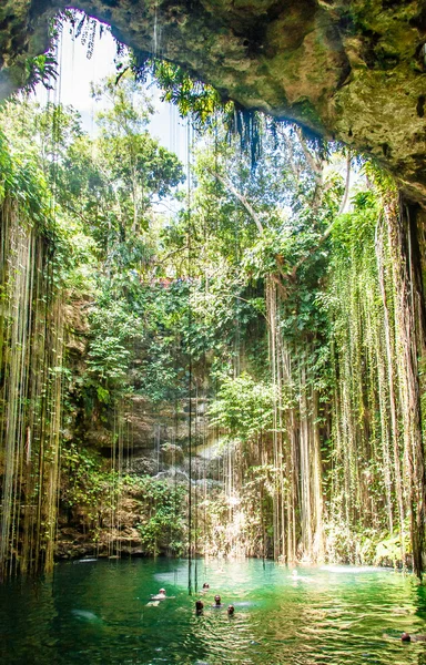 Cenote w Meksyku — Zdjęcie stockowe