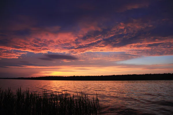 ラドガ湖の夕日 ロイヤリティフリーのストック写真