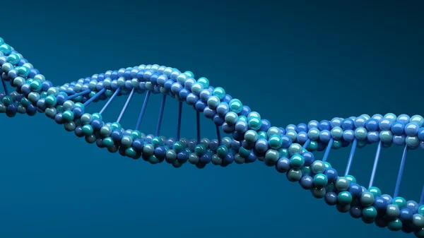 DNA sarmalının molekülleri.
