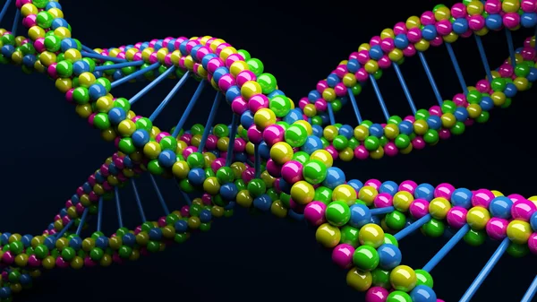 DNA sarmalının molekülleri.