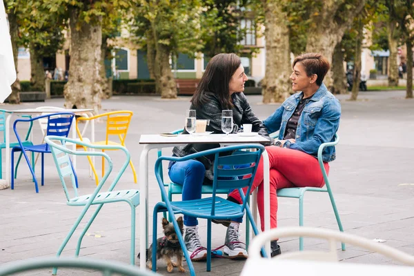 Casal Lésbico Meia Idade Com Seu Terrier Yorkshire Tomando Café — Fotografia de Stock