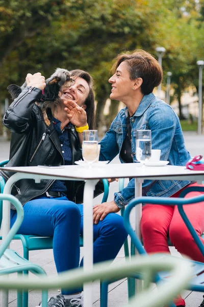 Glad Medelålders Lesbiska Par Leker Med Sin Yorkshire Terrier Sitter — Stockfoto