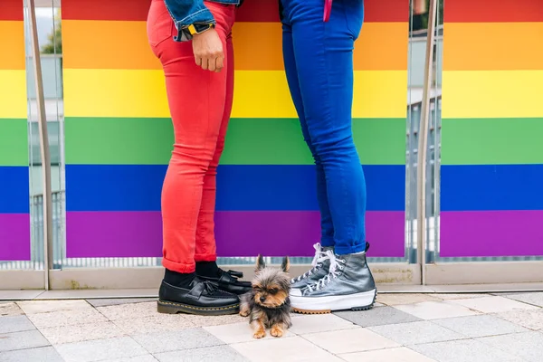 Legs of a lesbian couple in colorful pants in front of a railing with the LGBTQ + flag with their dog in the middle