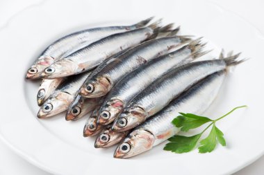 Hamsi