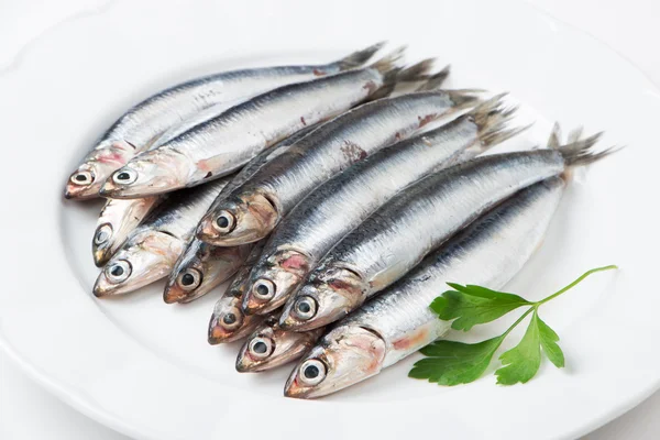 Fresh anchovies — Stock Photo, Image