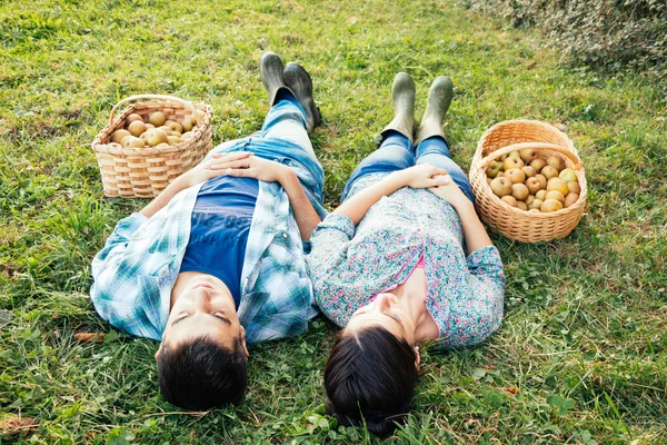 Пара отдыхает на траве осенью после сбора яблок — стоковое фото