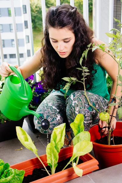 Jonge vrouw verzorgen van haar kleine boomgaard op het balkon — Stockfoto