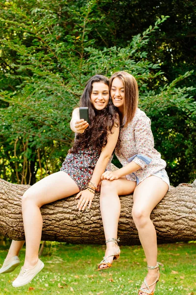 Menina amigos selfie sentado em um tronco — Fotografia de Stock