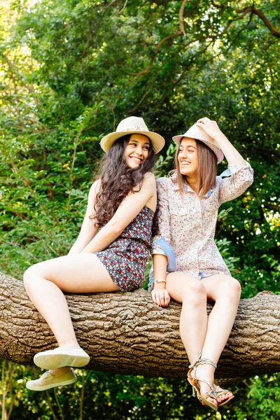 Meninas engraçadas sentadas em um tronco — Fotografia de Stock