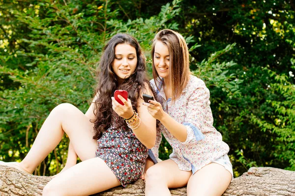 Girls sitting on a trunk using their mobile phones — Stock Photo, Image