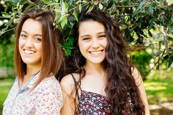 Cute girl friends under an olive tree — Stock Photo, Image