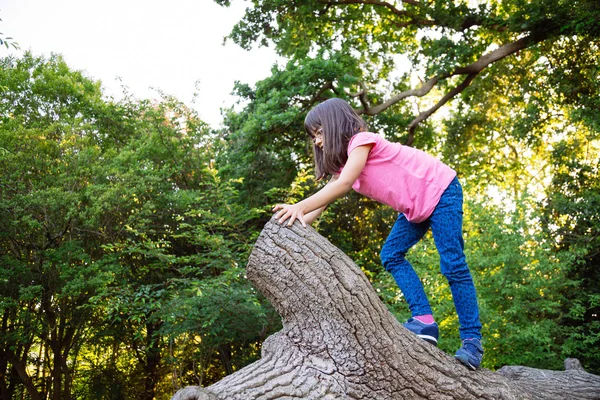 Bonito menina escalada — Fotografia de Stock