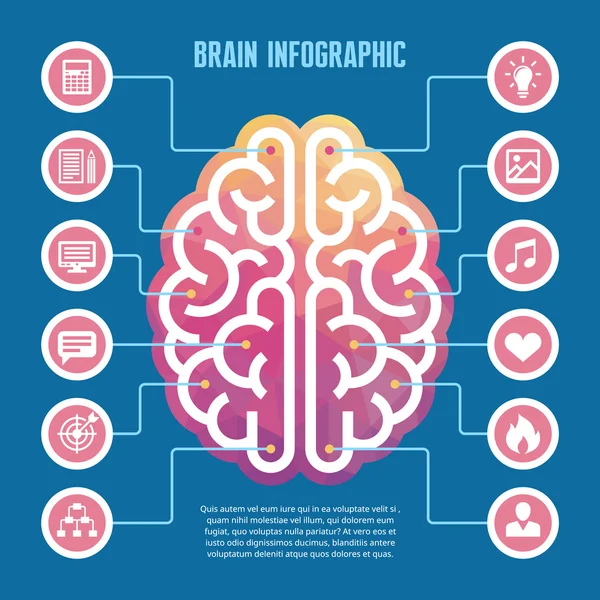 Mozku infographic - vektorové ilustrace koncept s ikonami — Stockový vektor