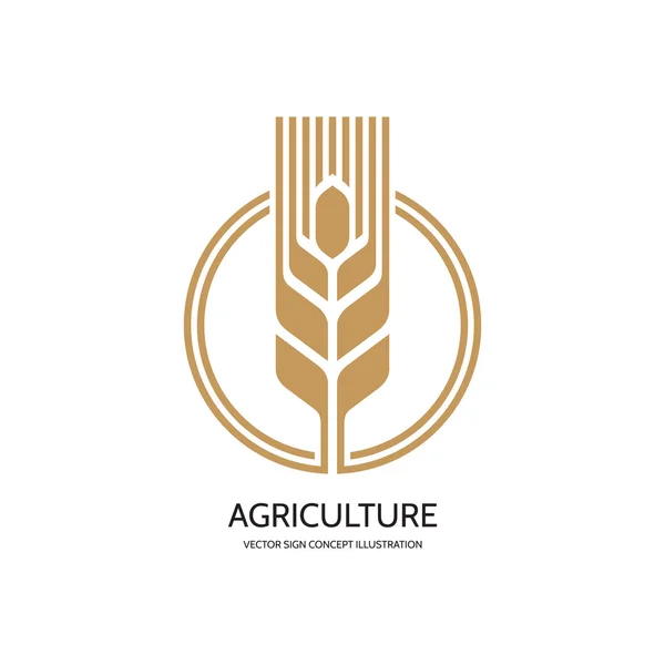 Ear of wheat - vector logo concept illustration. Cereal logo. Organic logo. Ecology logo. Bio logo. Nature logo. Agriculture logo. Vector logo template. Design element. — Stockvector