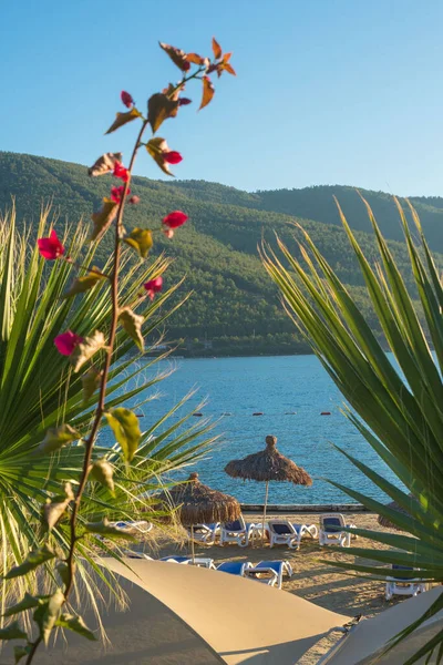 Sombrillas Paja Playa Tumbonas Orilla Del Mar Entre Flores Descanse — Foto de Stock