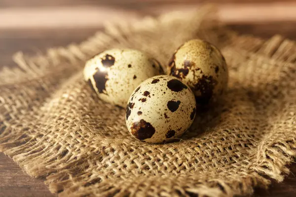 Tres Huevos Codorniz Orgánicos Manchados Sobre Fondo Áspero Hecho Casa — Foto de Stock