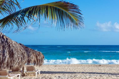 Punta Cana tatil köyünün kumsalında. Mavi gökyüzüne karşı palmiye ağaçları ve güneşlikler. Cennet Adası. Dominik Cumhuriyeti 'ne Seyahat.
